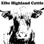 (c) Highland-cattle-dittmer.de